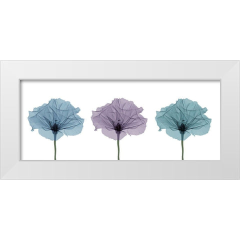 Three Flowers in Color White Modern Wood Framed Art Print by Anonymous