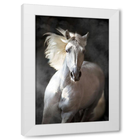 White Andalusian White Modern Wood Framed Art Print by Golubenko, S.