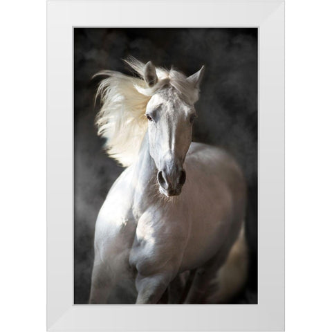 White Andalusian White Modern Wood Framed Art Print by Golubenko, S.