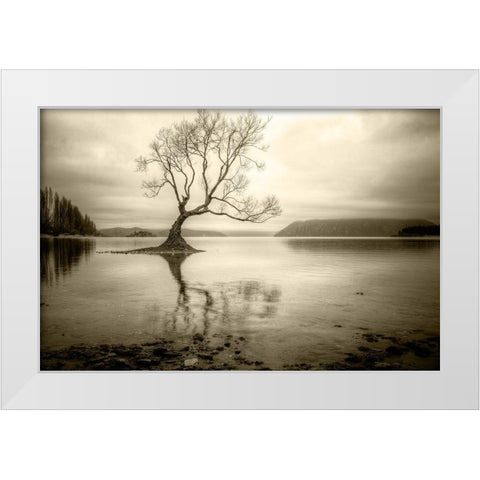 Lone Tree in a Lake White Modern Wood Framed Art Print by Rushton, Ian
