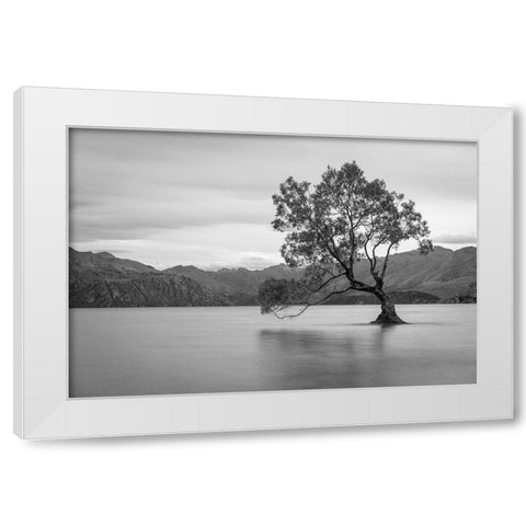 Iconic Lake Tree White Modern Wood Framed Art Print by Anon