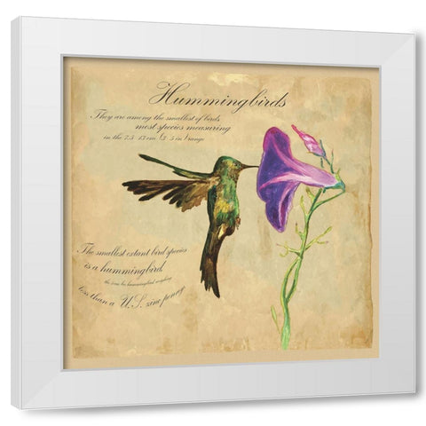 Hummingbird Illustration White Modern Wood Framed Art Print by Kuco
