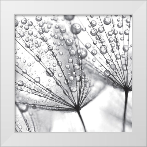 Delicate Wisps II White Modern Wood Framed Art Print by Anonymous