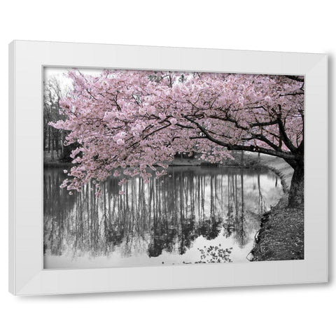 Violet Reflections II White Modern Wood Framed Art Print by Anonymous