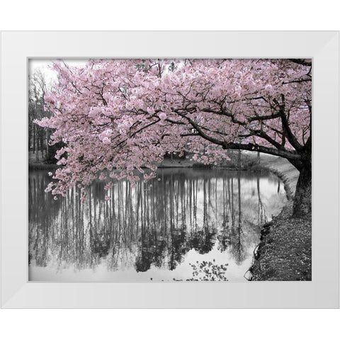 Violet Reflections II White Modern Wood Framed Art Print by Anonymous