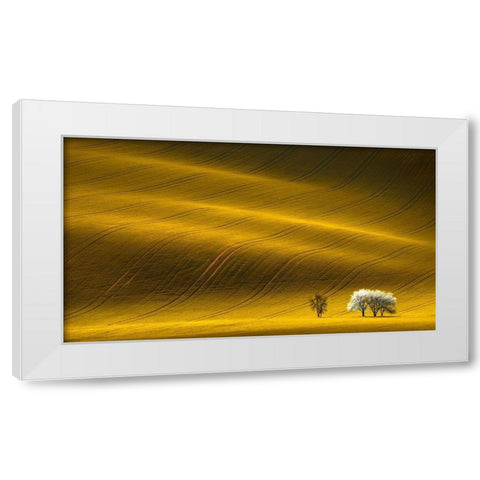 Majestic Field with White Trees White Modern Wood Framed Art Print by Uladzislau, S.