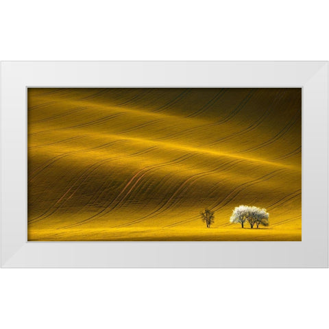 Majestic Field with White Trees White Modern Wood Framed Art Print by Uladzislau, S.