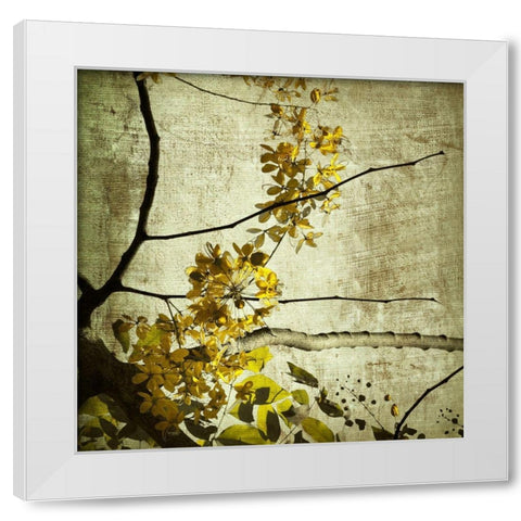 Yellow Kerala Blossoms White Modern Wood Framed Art Print by Anonymous