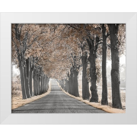 Road Through Tree Alley White Modern Wood Framed Art Print by Anonymous