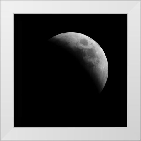 Eclipse IV White Modern Wood Framed Art Print by Anonymous