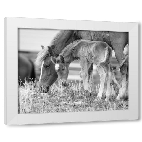 Like Mother, Like Son White Modern Wood Framed Art Print by Turek, Eve