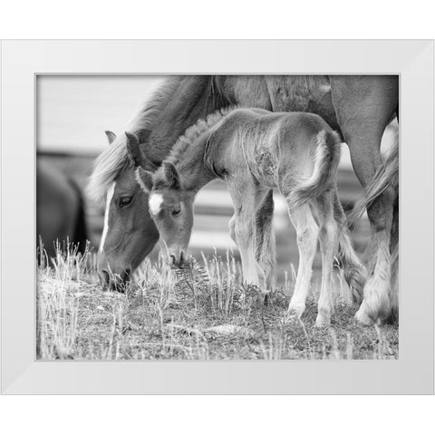 Like Mother, Like Son White Modern Wood Framed Art Print by Turek, Eve