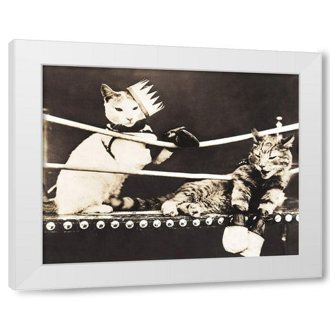 Catfight White Modern Wood Framed Art Print by Anonymous