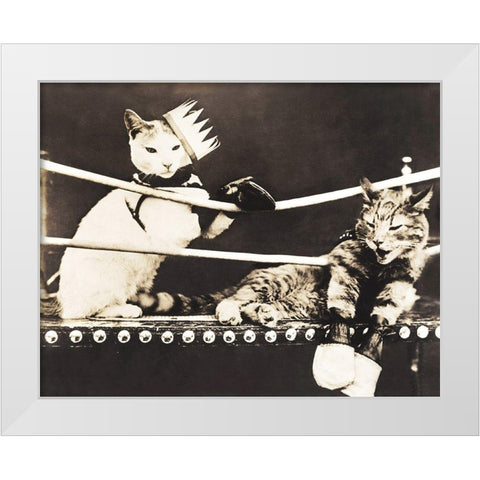 Catfight White Modern Wood Framed Art Print by Anonymous