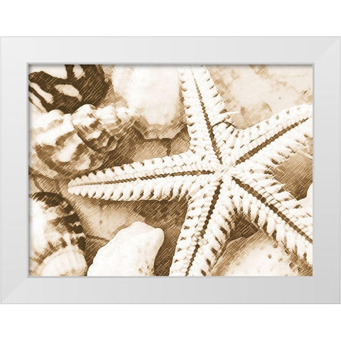 Starfish Impression White Modern Wood Framed Art Print by Anonymous