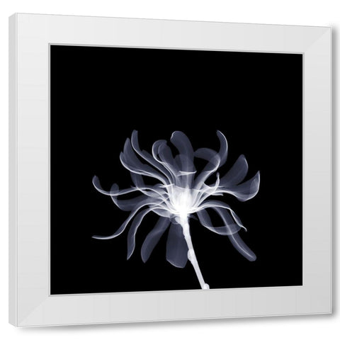 White Ribbons White Modern Wood Framed Art Print by Anonymous