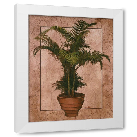Potted Palm II White Modern Wood Framed Art Print by Unknown