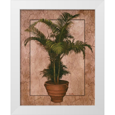 Potted Palm II White Modern Wood Framed Art Print by Unknown