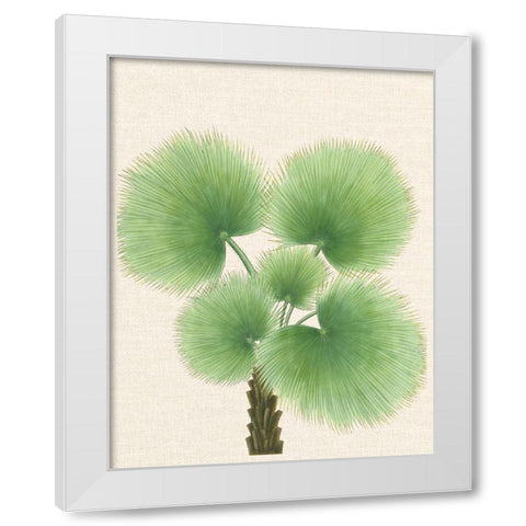 Palm Fronds White Modern Wood Framed Art Print by Unknown