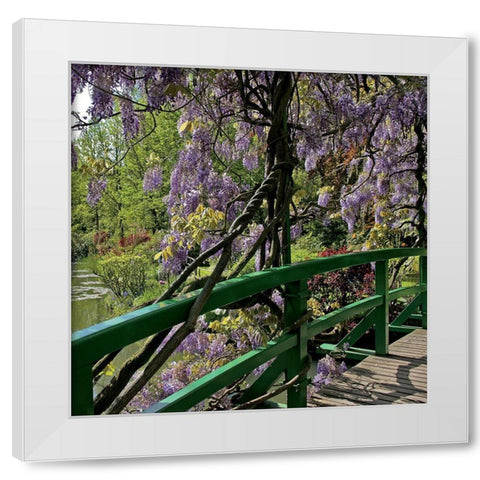 Jardin de Monet a Giverny II White Modern Wood Framed Art Print by Pinsard, Laurent