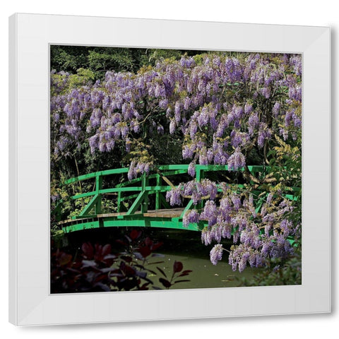 Jardin de Monet a Giverny III White Modern Wood Framed Art Print by Pinsard, Laurent