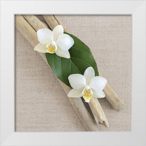 Orchid and Wood White Modern Wood Framed Art Print by Chatelain, Sonia