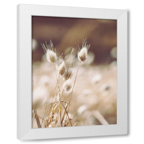 Herbes des Champs 1 White Modern Wood Framed Art Print by BRAUN Studio