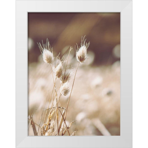 Herbes des Champs 1 White Modern Wood Framed Art Print by BRAUN Studio