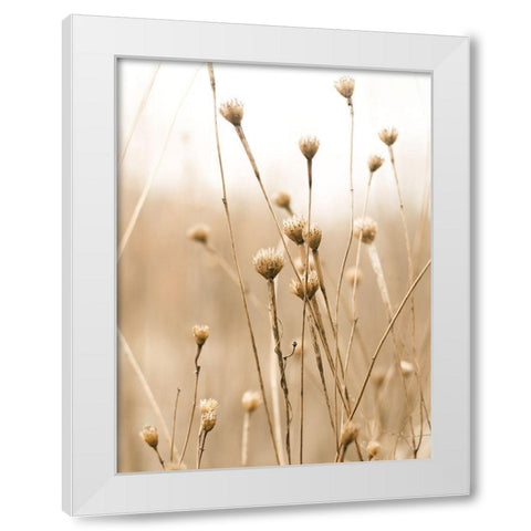 Herbes des Champs 2 White Modern Wood Framed Art Print by BRAUN Studio
