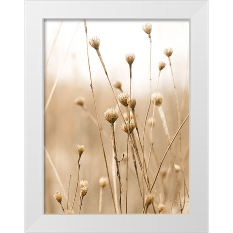 Herbes des Champs 2 White Modern Wood Framed Art Print by BRAUN Studio