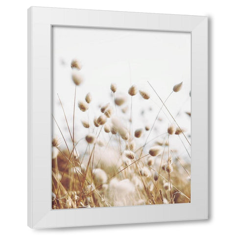 Herbes des Champs 3 White Modern Wood Framed Art Print by BRAUN Studio