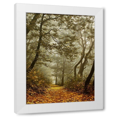 The Fog in Wood II White Modern Wood Framed Art Print by Adamov, Alexey