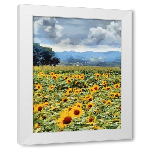 Sunflower Field White Modern Wood Framed Art Print by Medeiros, Celito