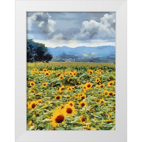 Sunflower Field White Modern Wood Framed Art Print by Medeiros, Celito