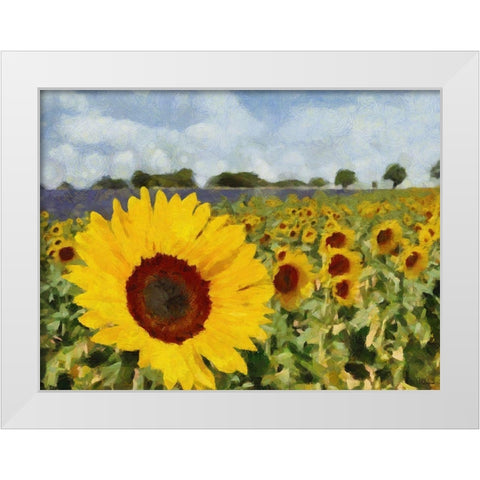 Sunflower Field White Modern Wood Framed Art Print by Medeiros, Celito