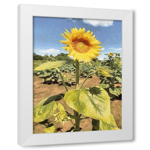 One Sunflower White Modern Wood Framed Art Print by Medeiros, Celito