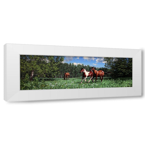 In the Summer White Modern Wood Framed Art Print by Adamov, Alexey
