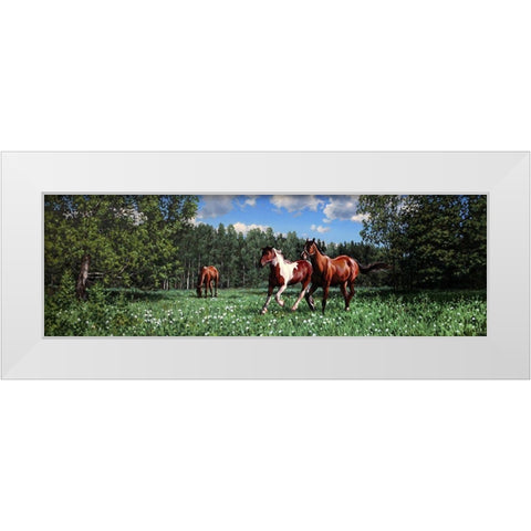 In the Summer White Modern Wood Framed Art Print by Adamov, Alexey