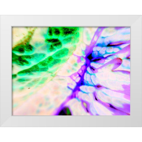 Biologic I White Modern Wood Framed Art Print by Grayscale