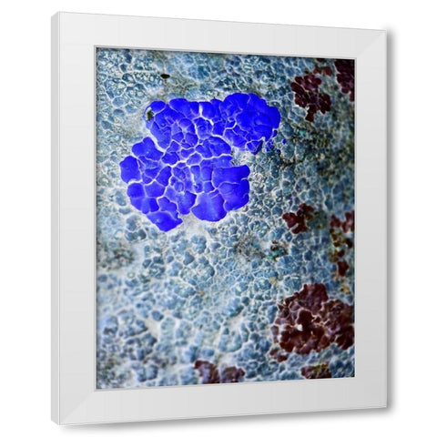 Texture Group IV White Modern Wood Framed Art Print by Grayscale