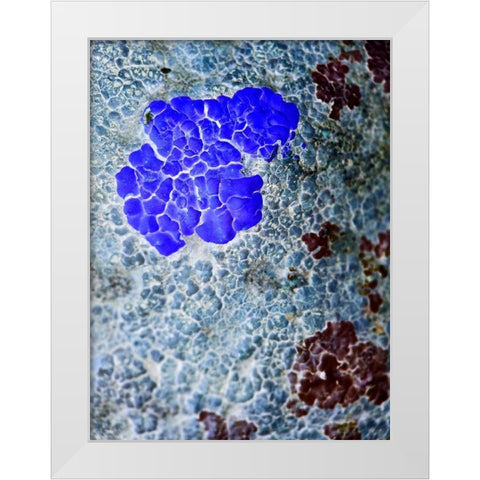 Texture Group IV White Modern Wood Framed Art Print by Grayscale