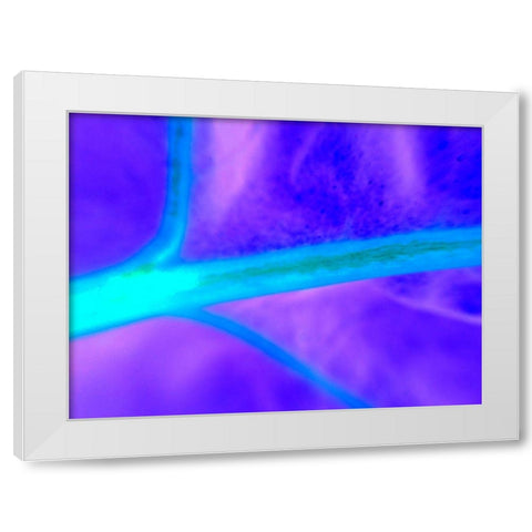 Energy Connection I White Modern Wood Framed Art Print by Grayscale