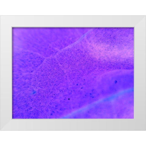 Energy Connection II White Modern Wood Framed Art Print by Grayscale