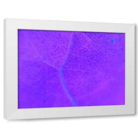 Energy Connection III White Modern Wood Framed Art Print by Grayscale