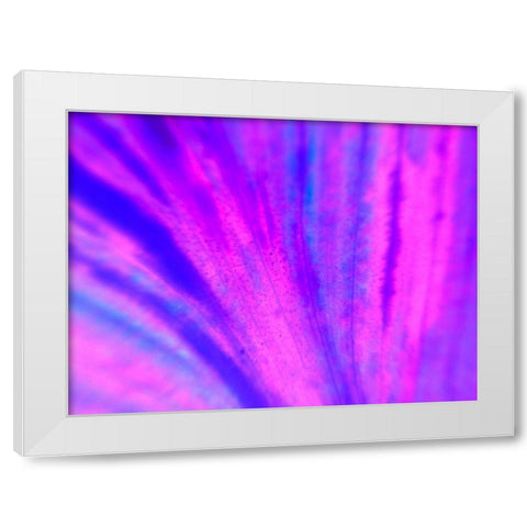 Energy Connection IV White Modern Wood Framed Art Print by Grayscale