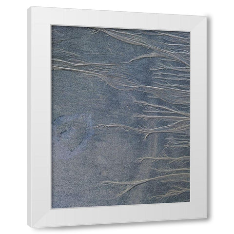 Sand Fibers II White Modern Wood Framed Art Print by Grayscale
