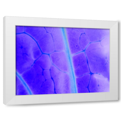 Turquoise Ridge I White Modern Wood Framed Art Print by Grayscale