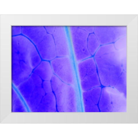 Turquoise Ridge I White Modern Wood Framed Art Print by Grayscale