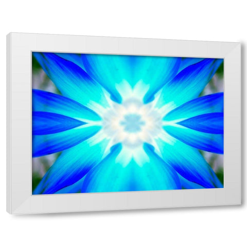 Flower Medallion V White Modern Wood Framed Art Print by Grayscale