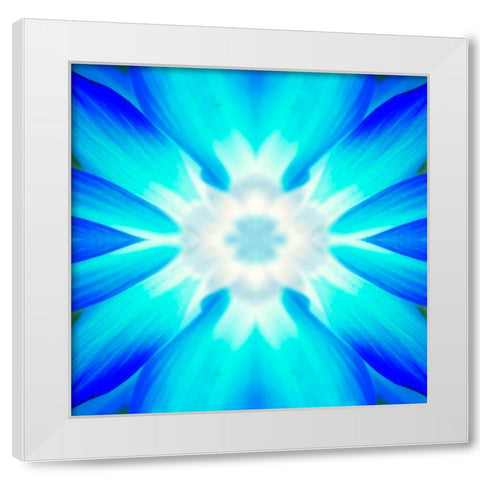 Flower Medallion IV White Modern Wood Framed Art Print by Grayscale